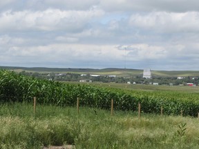 A field of corn awaiting harvest frames the southwestern Saskatchewan town of Mankota last week. (Photo: Will Chabun, Regina Leader-Post.)
