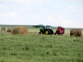 Near the southwestern Saskatchewan town of Mankota, a farmer bales hay that will be used to feed livestock during the winter.