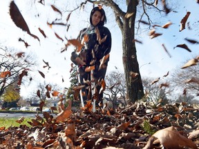 Fatima Desjarlais uses a leaf blower to help take ease the pain of fall chores in Regina on October 26, 2015.