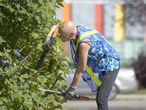 Sharon Sanderson clips branches at an alley between 1200 block of McTavish and Princess St. in Regina, Sask. on Saturday Aug. 13, 2016.