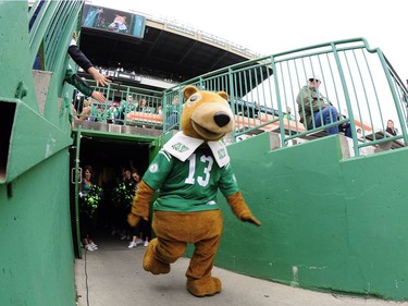 Gainer takes the field during the Labour Day Classic held at Mosaic Stadium in Regina, Sask. on Sunday Sept. 4, 2016.