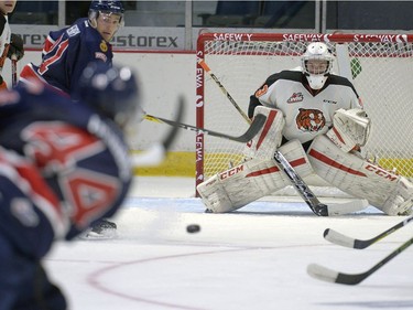 Medicine Hat Tigers goalie Duncan McGovern stares down a slap shot from Regina Pats defenceman Connor Hobbs during a WHL pre-season game held at the Brandt Centre on Saturday.