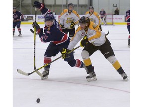 Regina Pats forward Riley Krane and Brandon Wheat Kings defenceman Jordan Wharrie battle for the puck during a WHL pre-season at the Co-operators Centre on Saturday.