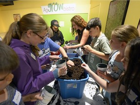 Jennifer Bromm works with students from Pilot Butte school planting seeds. Planting Seeds to Grow Young Minds is an annual event held at the Science Centre by Organic Connections. It is for middle school students and is part of national organic week. The event is designed to teach kids about organic farming and where their food comes from.