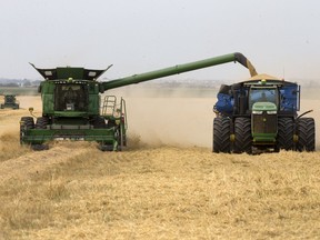Members of the Riverview Hutterite Colony combine barley east of Saskatoon in late August. Harvest is about one-third complete, ahead of the five-year average, according to the weekly crop report.