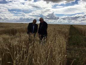 Federal Agriculture Minister Lawrence MacAulay (left) and Saskatchewan Agriculture Minister Lyle Stewart at announcement of $35,3 million investment in Agriculture and Agri-Food Canada's research and development centre in Swift Current.