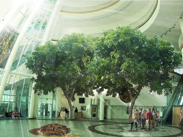 Trees inside the atrium of the First Nations University of Canada in an artist's rendering. Courtesy FNUniv.