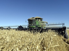 Global warming could expand Saskatchewan's growing season and agricultural potential.