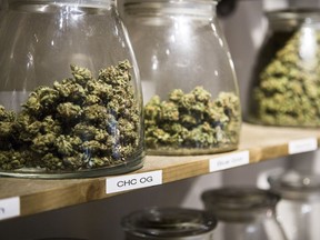 DENVER, CO - June 06, 2016: Marijuana in jars at the Colorado Harvest Company dispensary.