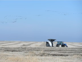 Farm equipment sits idle southwest of Regina.