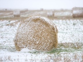 Untimely snow and rain delayed harvest and reduced crop yields and quality this year. FCC is offering support to Prairie farmers suffering from excess moisture.