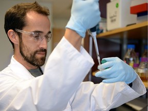 Andrew Cameron, a biologist in the Institute for Microbial Systems and Society (IMSS) Research Laboratory at the University of Regina, demonstrates exposing bacteria to antibiotics.