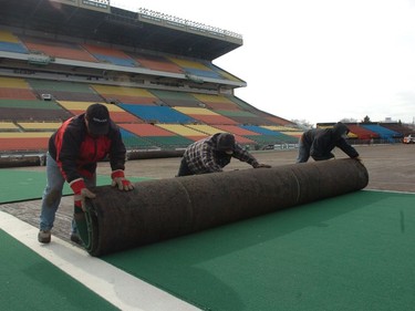 The Saskatchewan Roughrider Football Club and the City of Regina have selected FieldTurf as the new synthetic grass surface for Mosaic Stadium. The old turf is presently being removed and the rolls are being transported to Ipsco Place to be used in their indoor facilities. Mosaic Stadium is the fifth stadium in the CFL to install the product, and 21 of the 32  stadiums in the NFL currently use this product.