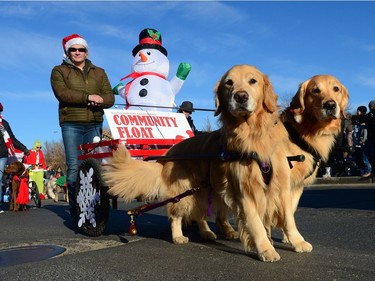A couple of dog are walked at the Santa Claus Parade held on South Albert St. in Regina, Sask. on Sunday Nov. 20, 2016.