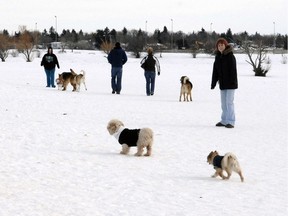 Residents and their dogs enjoy The Cathy Lauritsen Memorial Off-Leash Dog Park. A new park has officially opened in Regina, giving a second option for pet owners.