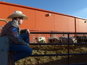 Cody Strandquist of C.S. Bucking Bulls out of Kyle, Sask. looks over his animals during the warm afternoon at Agribition in Regina, Sask. on Saturday Nov. 26, 2016.