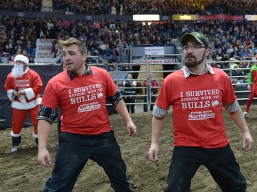 Delwin (L) and Vern Hofer (R) flee from stampeding bulls during Running with the Bulls at Abribition at the Brandt Centre in Regina, Sask. on Saturday Nov. 26, 2016.
