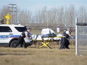 Regina Police Services and paramedics take a woman to an ambulance near a baseball diamond in between Lewvan Dr. and Pasqua St., just south of Regina Avenue in Regina, Sask. on Friday Nov. 11, 2016. Unconfirmed reports at the time suggest the woman may be Clara Mitchell, a 78-year-old with advanced Alzheimer's disease who went missing on Thursday evening.