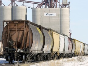 Grain cas are lined up at the sidings at the Viterra Grain terminal off highway 46 east of Pilot Butte Monday March 17 2014.