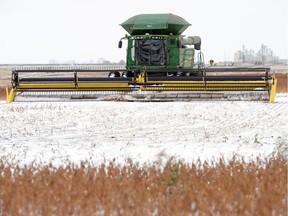 An idle combine just southeast of Regina in October. The late season  rain and snow have reduced crop quality across the province, according to the final crop report of 2016  from Saskatchewan Agriculture.
