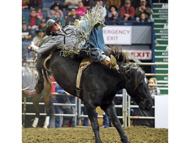 Danny Vandenameele from Langenburg, SK riding Undercover during the bareback event at the Agribition Pro Rodeo at the Canadian Western Agribition in Regina.