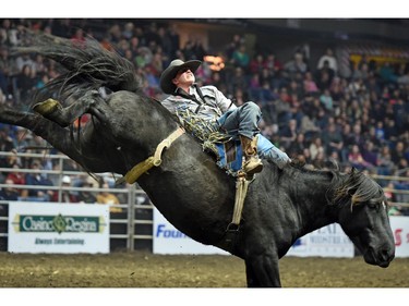 Danny Vandenameele from Langenburg, SK riding Undercover during the bareback event at the Agribition Pro Rodeo at the Canadian Western Agribition in Regina.