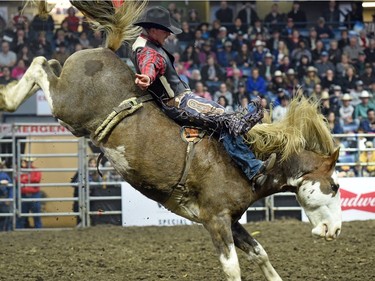 Lane Link from Maple Creek, SK riding Fabio during the bareback event at the Agribition Pro Rodeo at the Canadian Western Agribition in Regina.