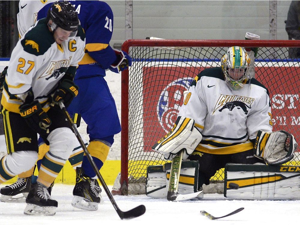 U of R Cougars roundup Men's hockey team turns things around Regina