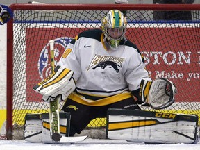 University of Regina Cougars' Andy Desautels, shown here in a file photo, has handled the bulk of the goaltending duties so far this season.