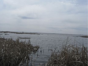 A view of the Quill Lakes.