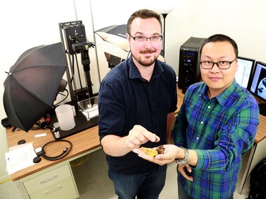 Lida Xing and Ryan McKellar holding amber pieces from a Myanmar study site which uncovered a piece of a dinosaur's tail that included feathers, clearly linking the feathers to the source animal, believed to have lived 99 million years ago.