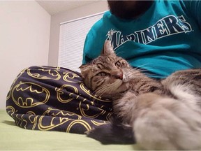 A conductor who saved and fell in love with a kitty that nearly froze to death under the engine of his train says he's sad, but happy as well, that the cat's owners may have been found.