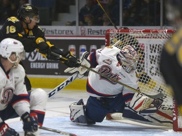 Regina Pats goalie Tyler Brown, 31, makes a glove save while Brandon Wheat Kings forward Tanner Kaspick pressures during a game at the Brandt Centre in Regina, Sask. on Tuesday Dec. 27, 2016.