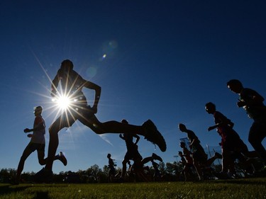 The start of the senior boys high school cross-country at Canada Games Athletics Complex in Regina.