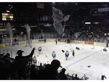 Bags of teddy bears get tossed onto the ice at the Dec. 9 Pats game.