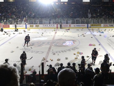 Teddy bears get tossed onto the ice at the Dec. 9 Pats game.