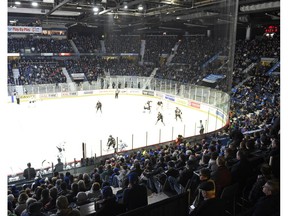 The Regina Pats have been a hit at the gate this season, as was evident on Jan. 8 when the WHL team packed the Brandt Centre for Blue Jays Night.