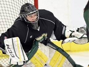 Jane Kish, shown in this file photo, backstopped the University of Regina Cougars to a 2-1 victory over the visiting Manitoba Bisons on Friday night.