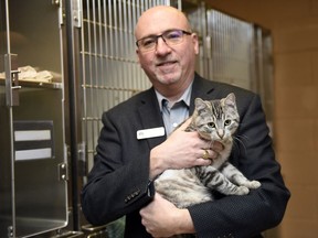 Bill Thorn, director of Marketing and Public Relations with the Regina Humane Society, holds a cat that is currently up for adoption in Regina.