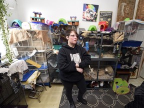 Charmaine Benson runs Charming Rat Rescue out of her house in Regina.