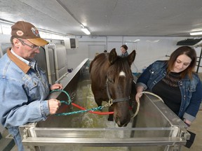 Charmaine Grad, right, of Coyotee Flats Equine Therapy and her father Kevin oversee the operation of the company's AquaPacer, the combination of a treadmill and water tank used in horse rehabilitation and conditioning.