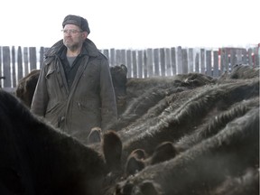 John Stewart stands among his cattle at his Invermay-area farm. Flooding in recent years has damaged his house and lowered the quality of the cattle's feed.