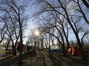 REGINA,Sk: NOVEMBER7, 2016 --Harley Clippenstine starts packing up camp after he was told a group of homeless people using the picnic site in Wascana Park as a home would have until Tuesday to find a new location. Overnight camping is not allowed in the park. The group had been set up on an empty lot in downtown Regina, but vacated that space last week. BRYAN SCHLOSSER/Regina Leader-Post