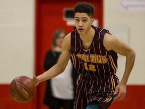 The LeBoldus Golden Suns' Matt Barnard, shown in this file photo, had 23 points to help his team win Thursday night at Hoopla.