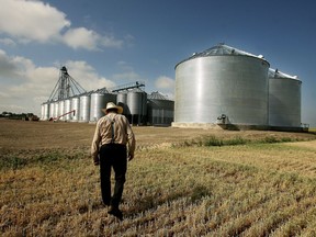 Agriculture may not get enough credit for reducing carbon emissions.