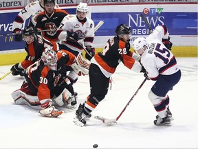 The Regina Pats' Braydon Buziak, 15, fights for a loose puck near the Medicine Hat Tigers' net on Friday at the Brandt Centre.