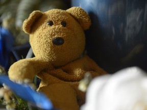 Kye Ball's childhood teddy bear sits next to his urn. Kye took his own life in March.