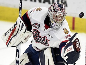 The Regina Pats' Tyler Brown is the WHL's goaltender of the month for April.