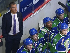 Things are looking up for the Swift Current Broncos under head coach Manny Viveiros.