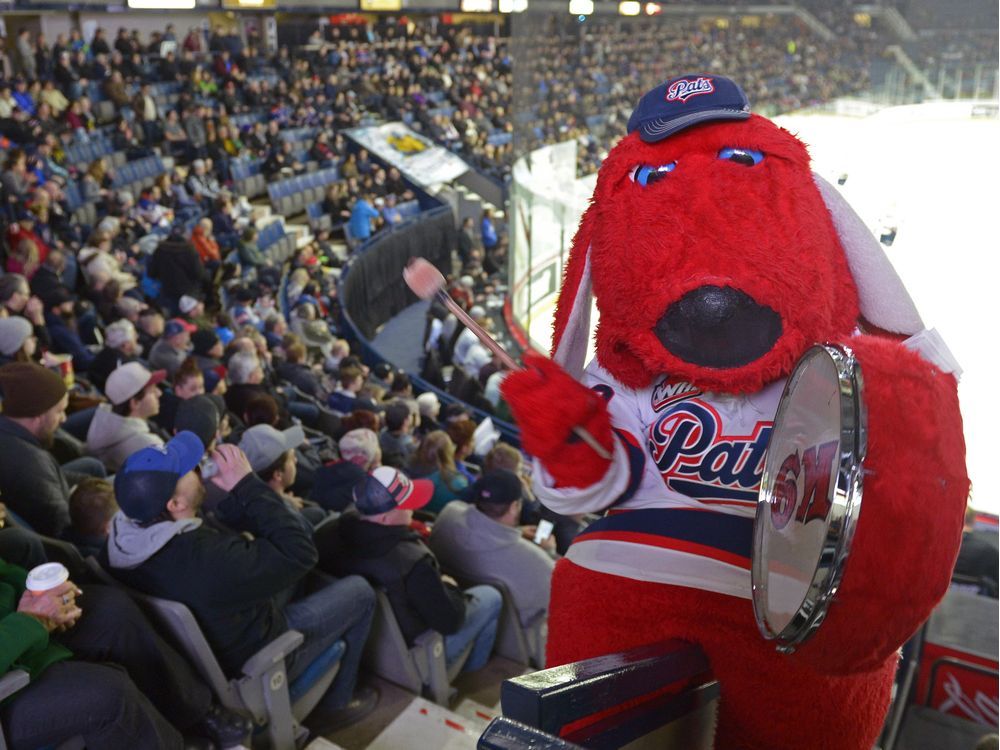 WHL's Regina Pats to host special Toronto Blue Jays night